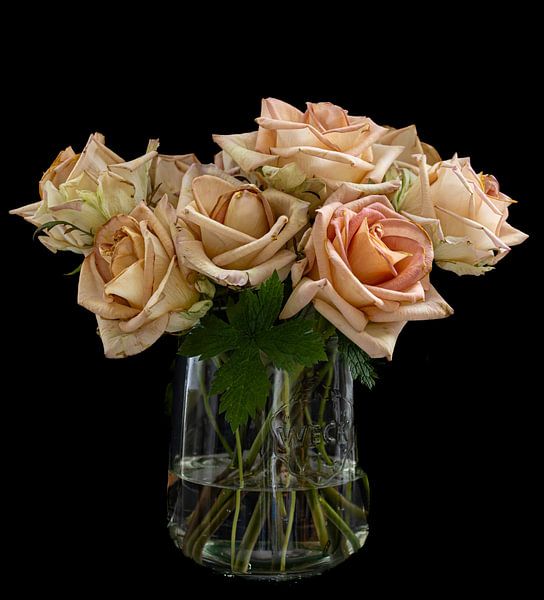 Roses pastel par Huub de Bresser