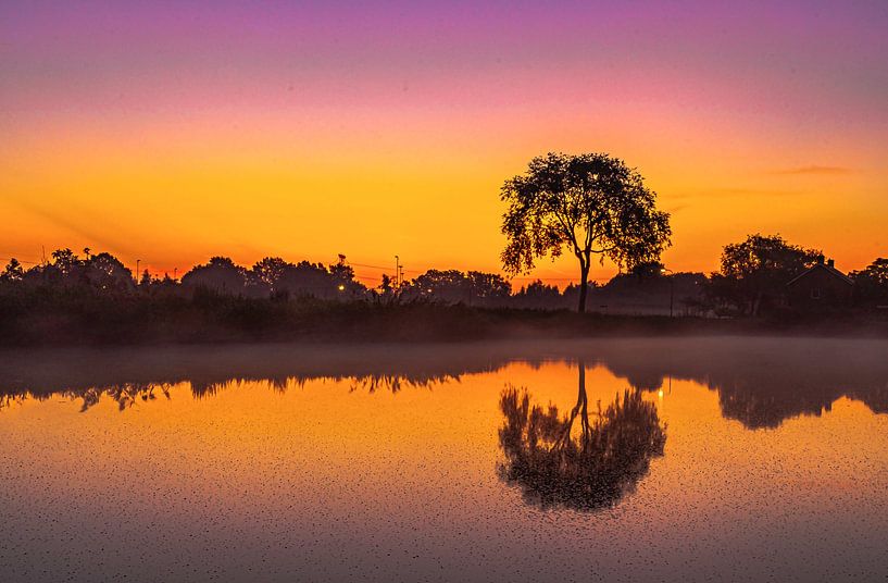 Sunrise by Freddie de Roeck