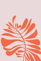 Palm