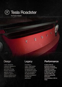 Tesla Roadster Magazine van Ali Firdaus