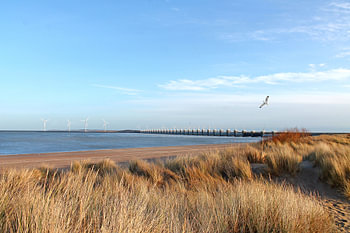 Oosterschelde-Deich