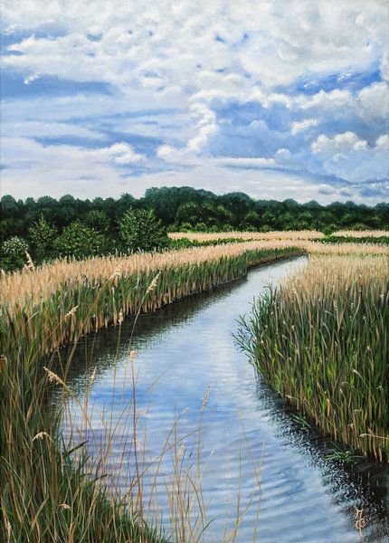 Kromsloot Park par Carolien Bol