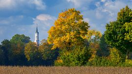 Autumn landscape with colourful leaves in Schrobenhausen by ManfredFotos