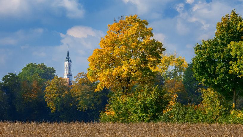 Autumn landscape with colourful leaves in Schrobenhausen by ManfredFotos