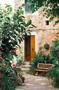 Fleurs et plantes à Valldemossa par Evelien Oerlemans Aperçu