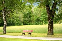Bankje in het park