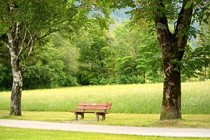 bench in the park sur Menno Heijboer