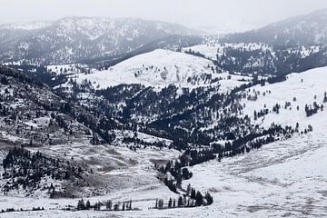 Overlook of Yellowstone van Sjaak den Breeje