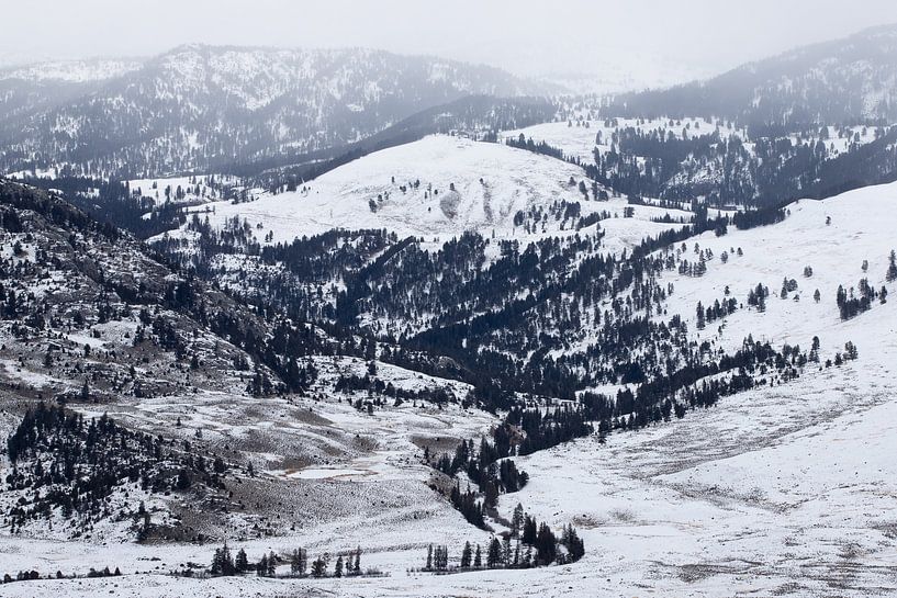 Overlook of Yellowstone von Sjaak den Breeje