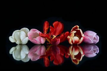 Bouquet de tulipes avec réflexion 2 sur Doris van Meggelen