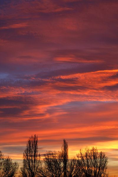 Himmelweit von Thomas Jäger