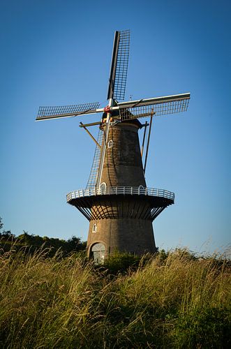 Polder molen