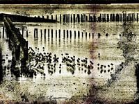 wadlopers