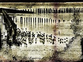 wadlopers von JF art