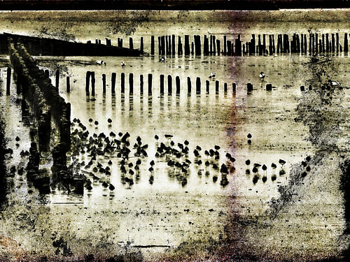 wadlopers