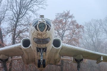 Ukraine - verlassenes Jagdflugzeug im Nebel von Gentleman of Decay