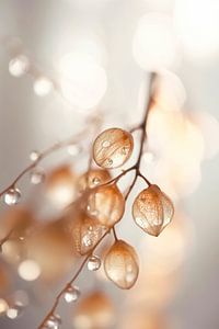 Drops On Leafs No 3 by Treechild