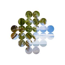 Graphic Art Gorgeous Oceanside