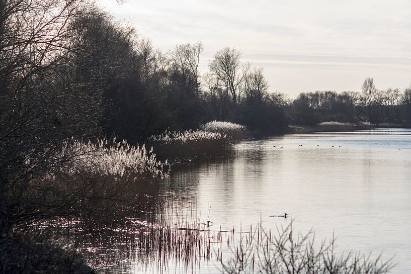 waterleidingduinen by ton vogels