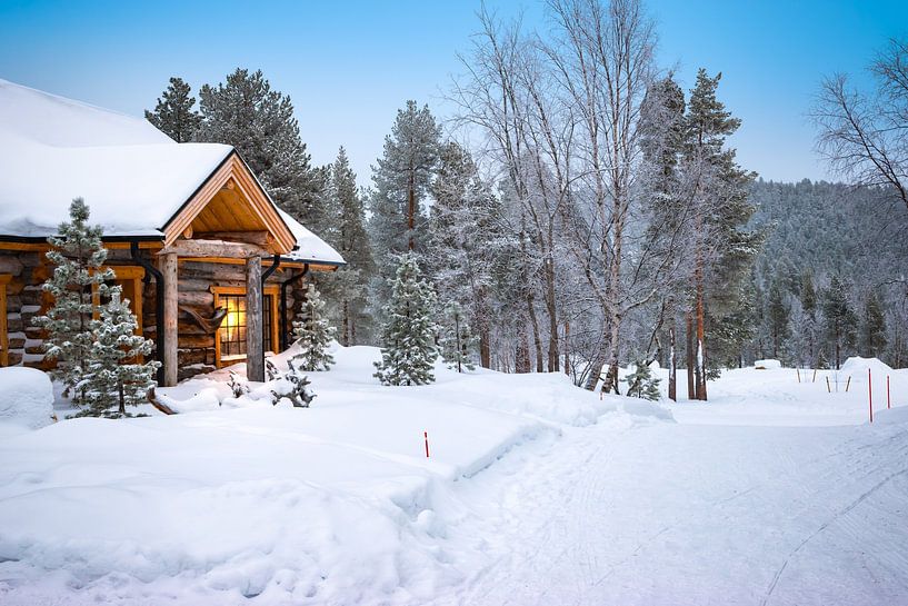 Winter Magic in Lapland Finland by Nancy Pauwels Photo