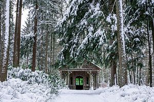 Schneepalast Park das Klo von Patrick Oosterman