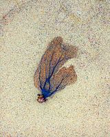 Welcome to the Caribbean Sea.