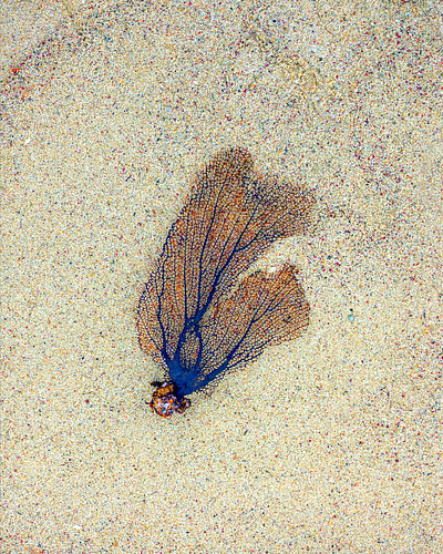 Welcome to the Caribbean Sea.