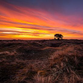 Sonnenaufgang Ameland von Martien Hoogebeen Fotografie