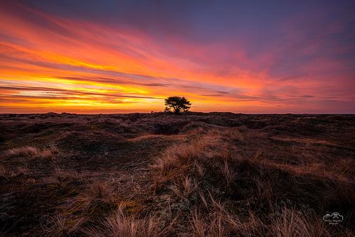 Zonsopkomst Ameland