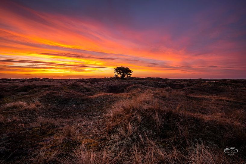 Sonnenaufgang Ameland von Martien Hoogebeen Fotografie