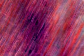 Bloedstof van Studio Kunsthart