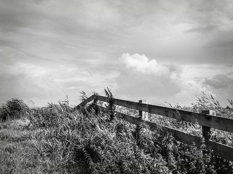 Landschaft von Michel Aalders