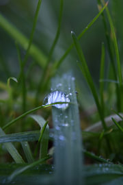 water drop by Erik Buitenhuis