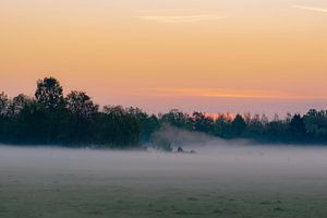 Neblige Landschaft