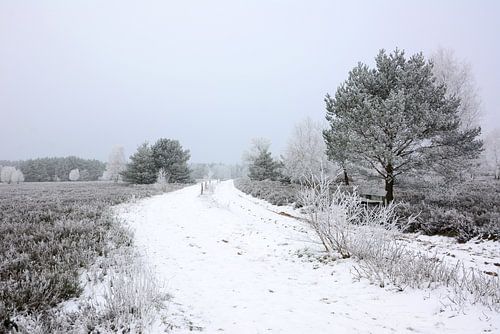 Winter im Heideland - Variante von Gisela Scheffbuch