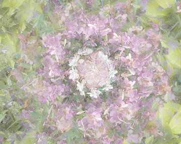 Nazomer bloemen in multiple exposure van Lucia Leemans
