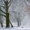 Under A Winter's Spell by Ellen Borggreve