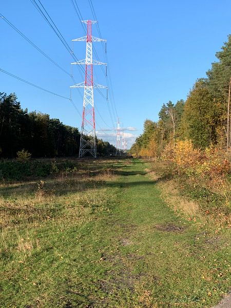 Langs het bos in Calais van Kimberly Hobbyfotografie