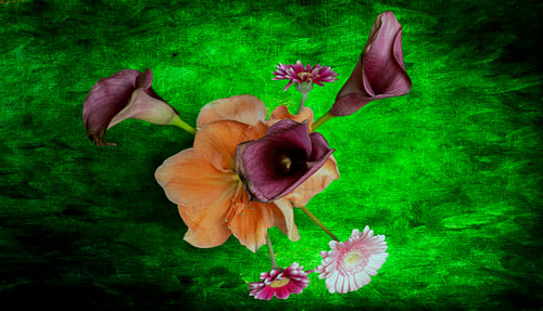 Stilleven Bloemen in vaas top