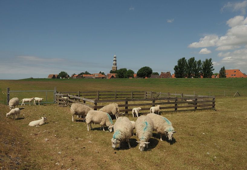 Grote Kerk van Hindeloopen van eric piel