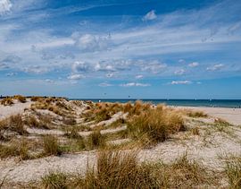 Sanddünen und Ostsee Warnemünde, Mecklenburg-Vorpommern