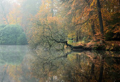 Mirror image in autumn