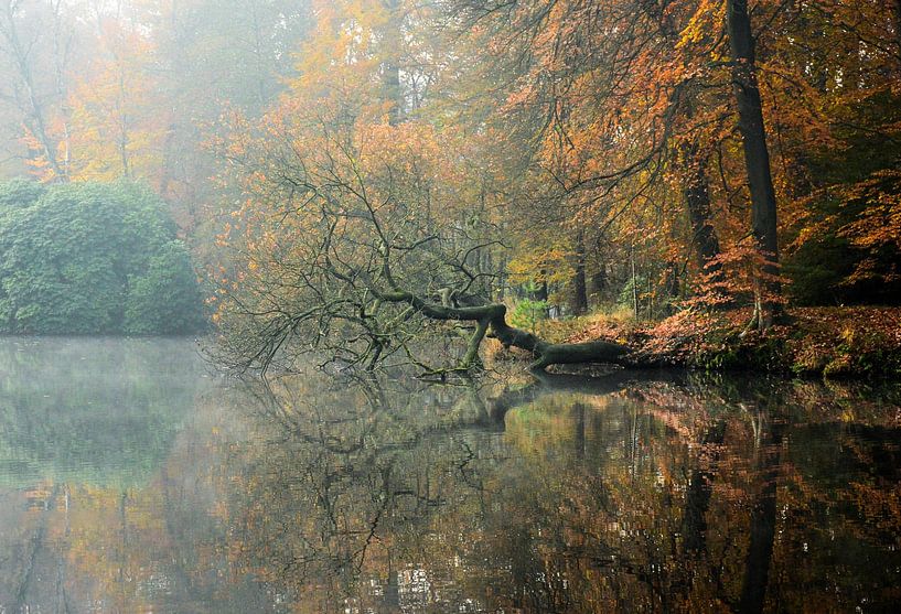 Mirror image in autumn by Marlies Reimering