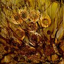 Honey by Agnieszka Zietek thumbnail