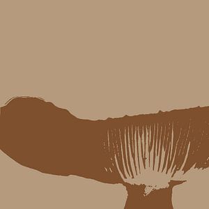 Spores in a fungus
