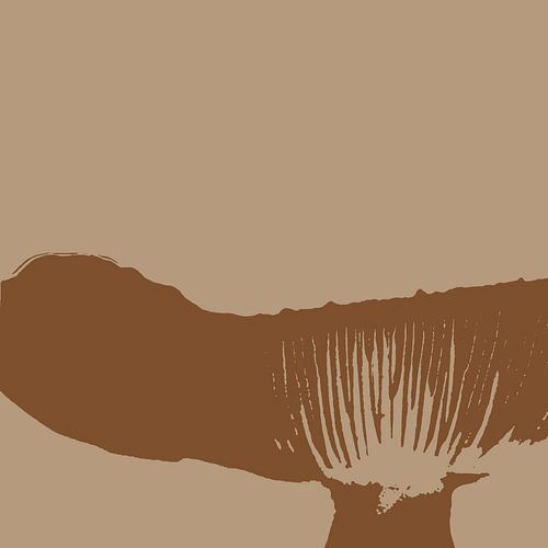 Spores in a fungus
