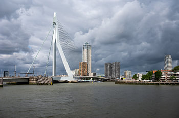 The Nieuwe Maas and Erasmus Bridge