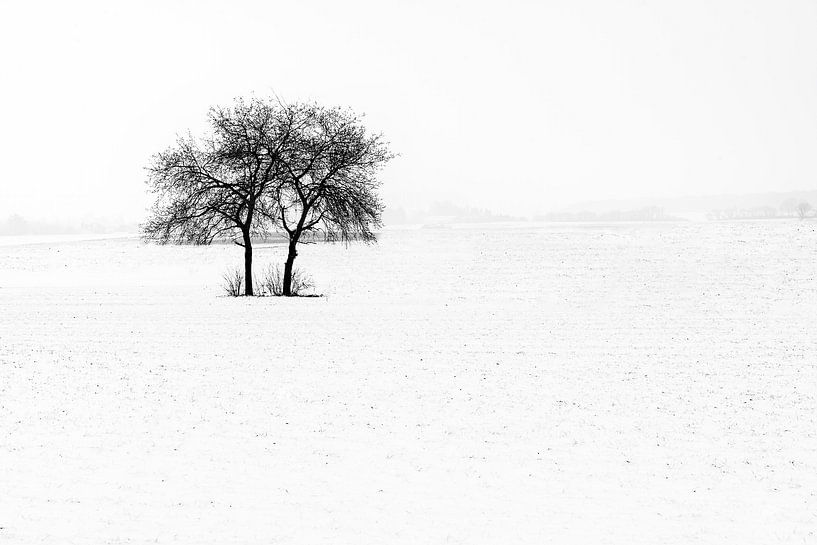 twins in the snow by Guy Lambrechts Photography