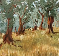 Andalusian cork oaks