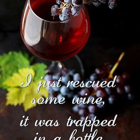 Ich habe gerade etwas Wein gerettet, der in einer Flasche eingeschlossen war. von Sira Maela